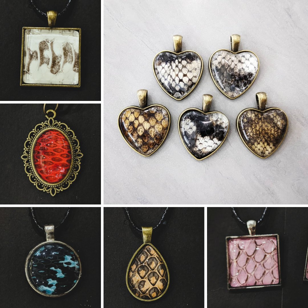 Real Snake Skin Jewelry