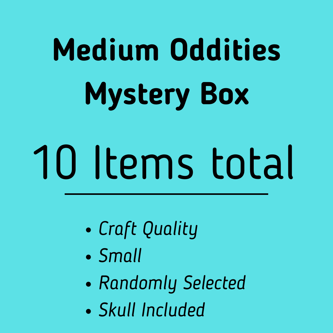 Natural History Oddities Mystery Box - Uniquely Morbid®