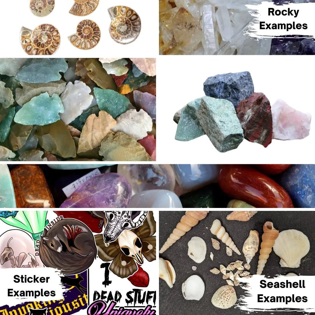 Natural History Oddities Mystery Box - Uniquely Morbid