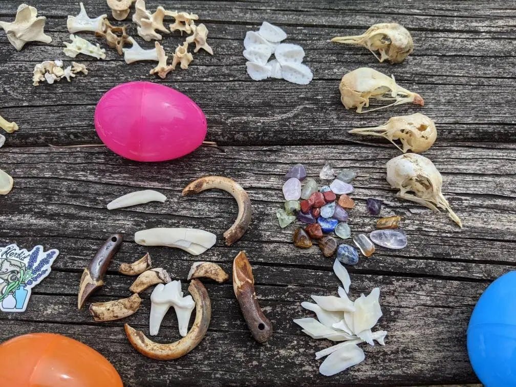 Oddities Mystery Easter Egg - Uniquely Morbid