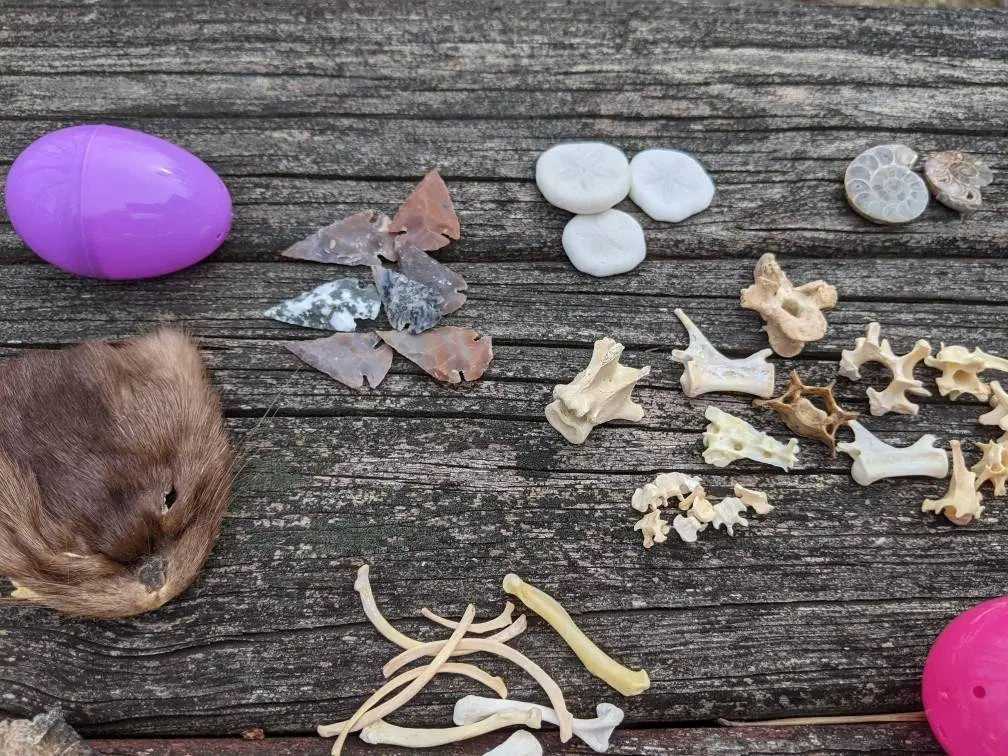 Oddities Mystery Easter Egg - Uniquely Morbid