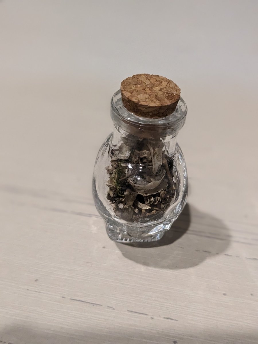 Skull and Bones Jar - Uniquely Morbid®