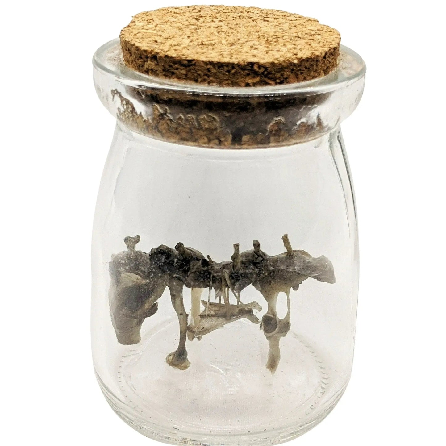 Small Monster Mystery Figure Skeleton - Uniquely Morbid