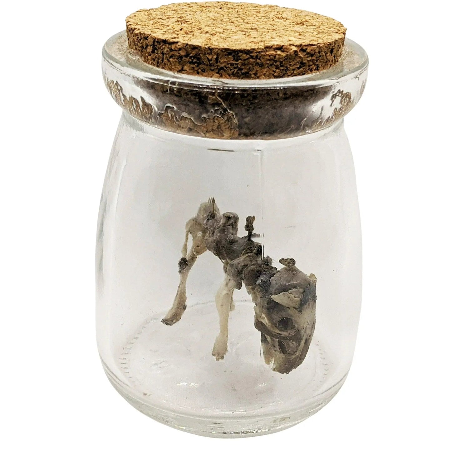 Small Monster Mystery Figure Skeleton - Uniquely Morbid