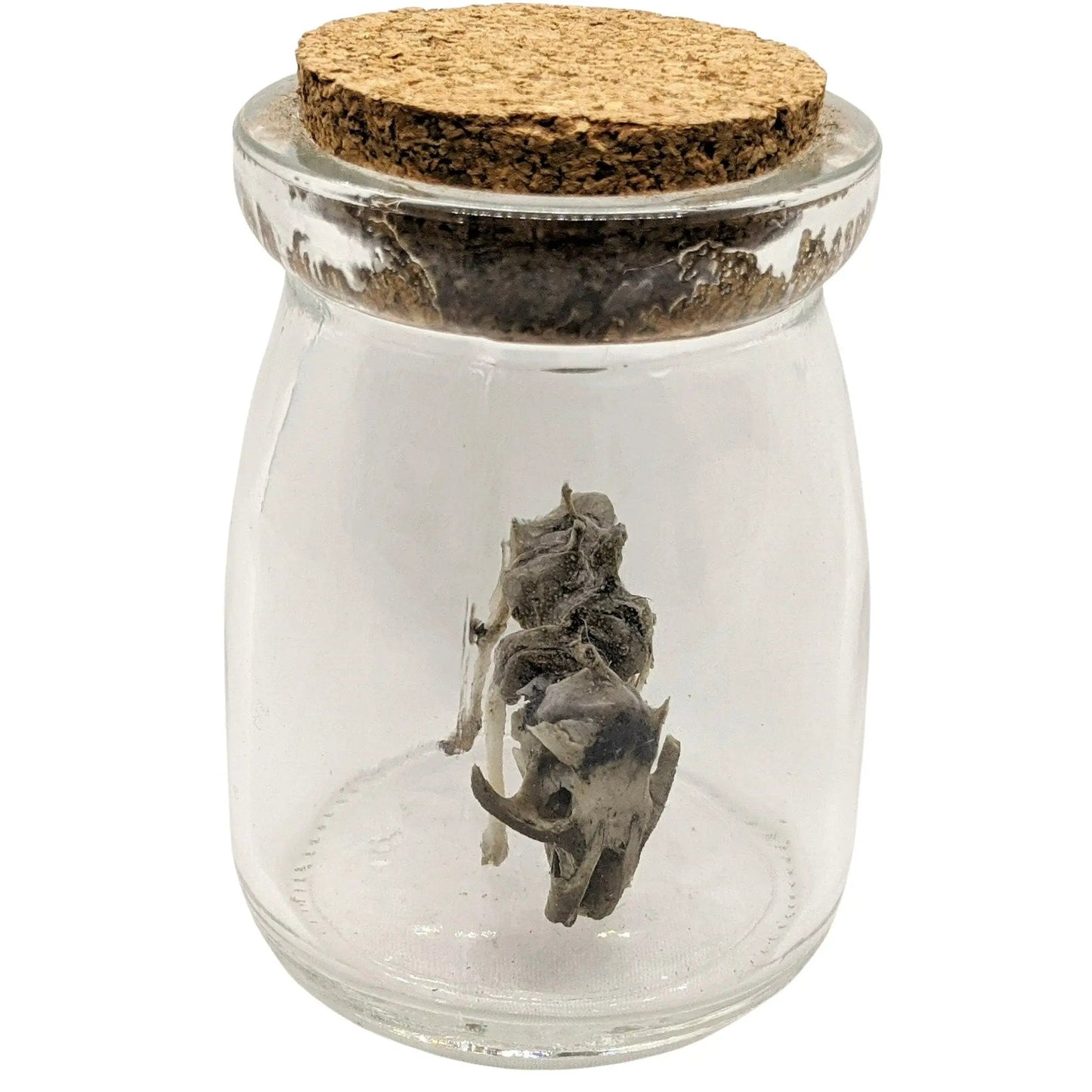 Small Monster Mystery Figure Skeleton - Uniquely Morbid