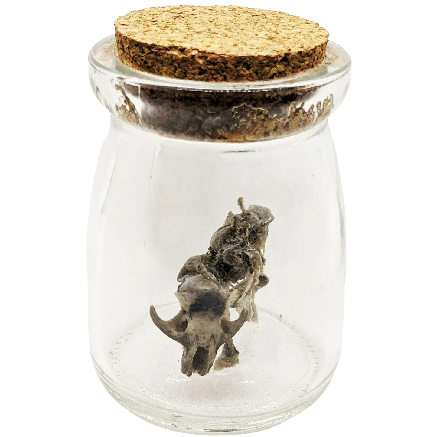 Small Monster Mystery Figure Skeleton - Uniquely Morbid