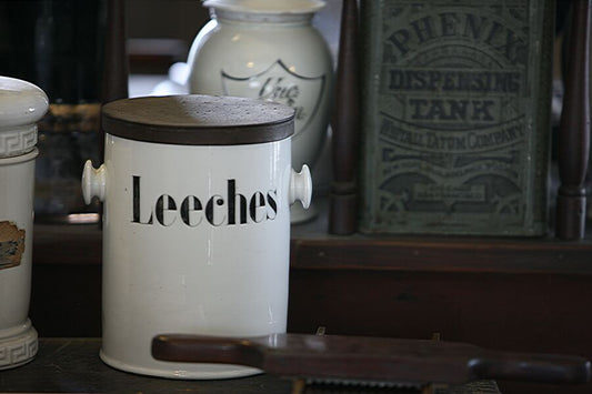 History of Using Leeches in Medicine - Uniquely Morbid®