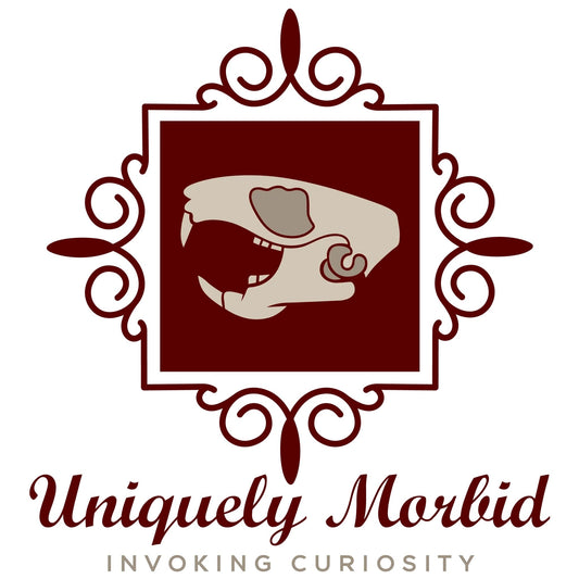 New Logo Rebranding - Uniquely Morbid®
