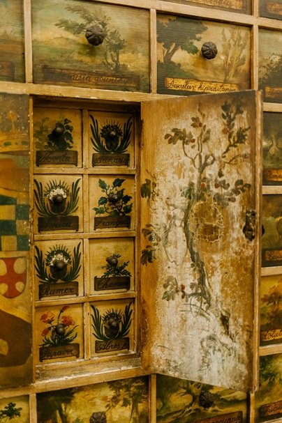 What is a Cabinet of Curiosities? - Uniquely Morbid®