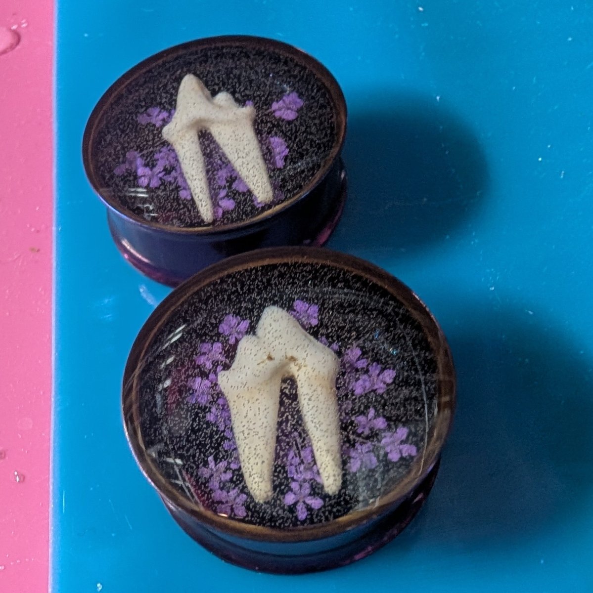 Fox Tooth Plugs 1in - Uniquely Morbid®