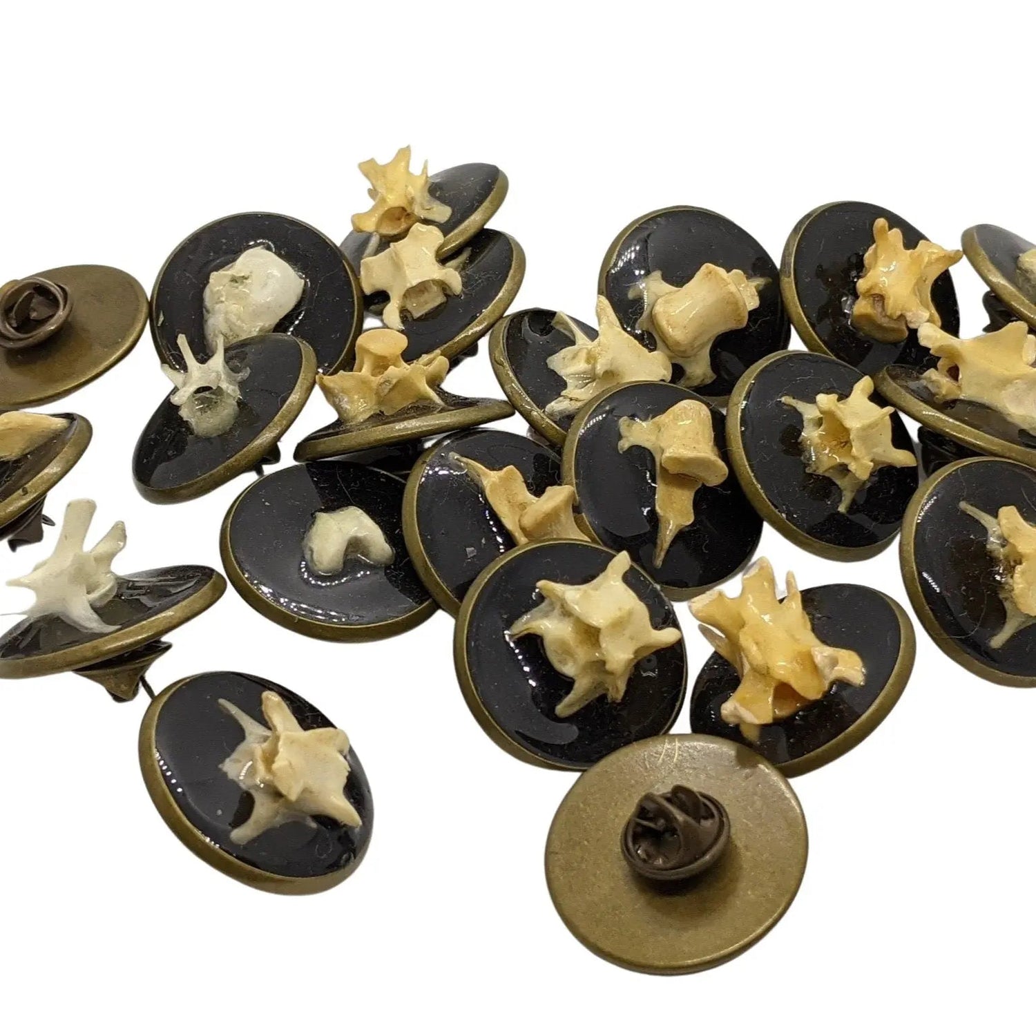 Bone Cameo Antique Bronze Button - Uniquely Morbid