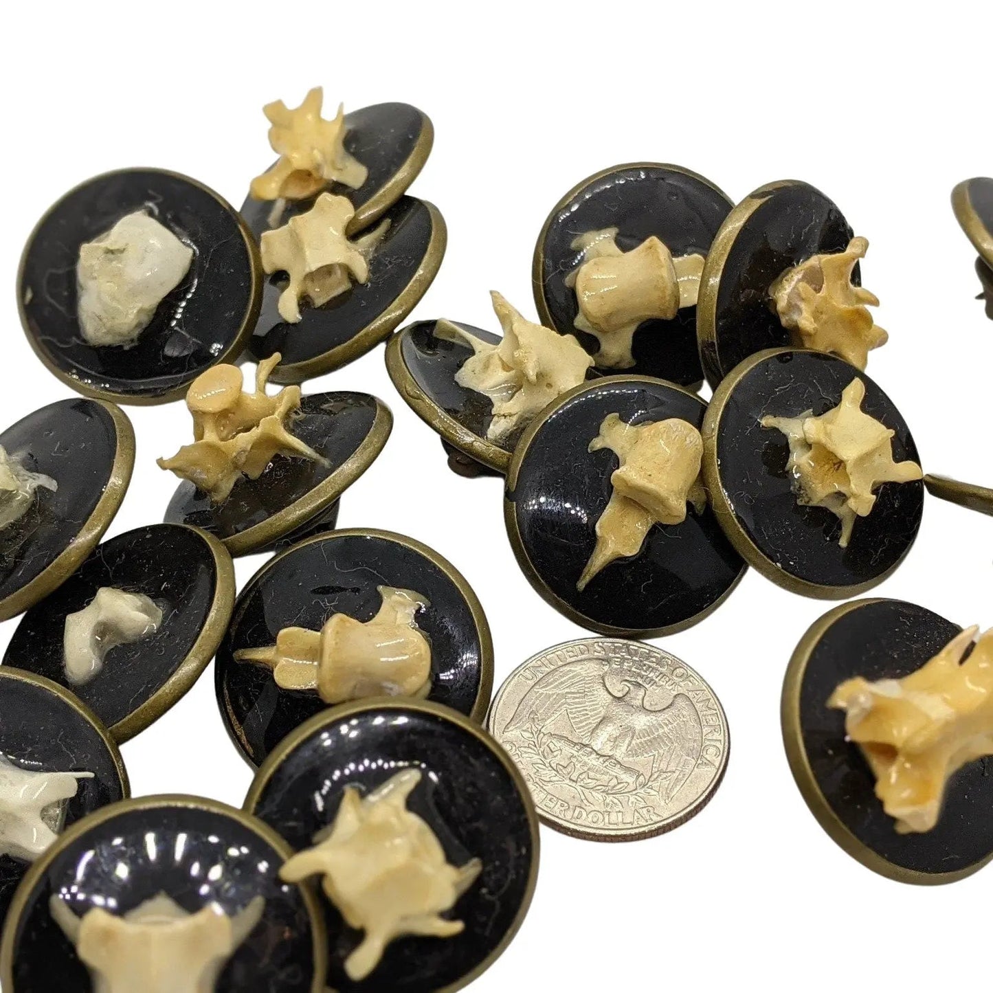 Bone Cameo Antique Bronze Button - Uniquely Morbid