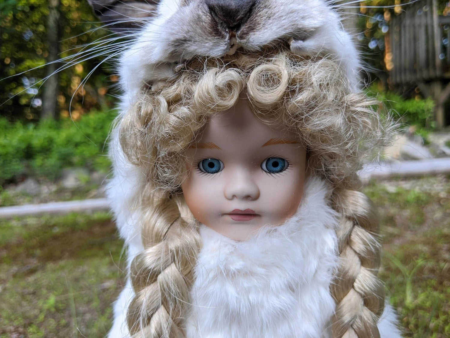 Feral Baby Doll Lillian , Real Bunny Rogue Taxidermy Mixed Media Vintage Porcelain Doll - Uniquely Morbid