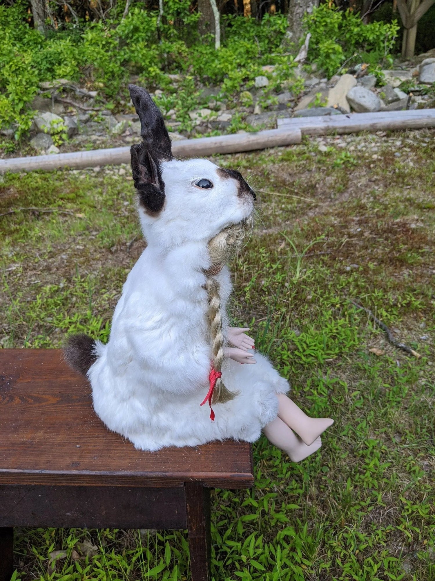 Feral Baby Doll Lillian , Real Bunny Rogue Taxidermy Mixed Media Vintage Porcelain Doll - Uniquely Morbid