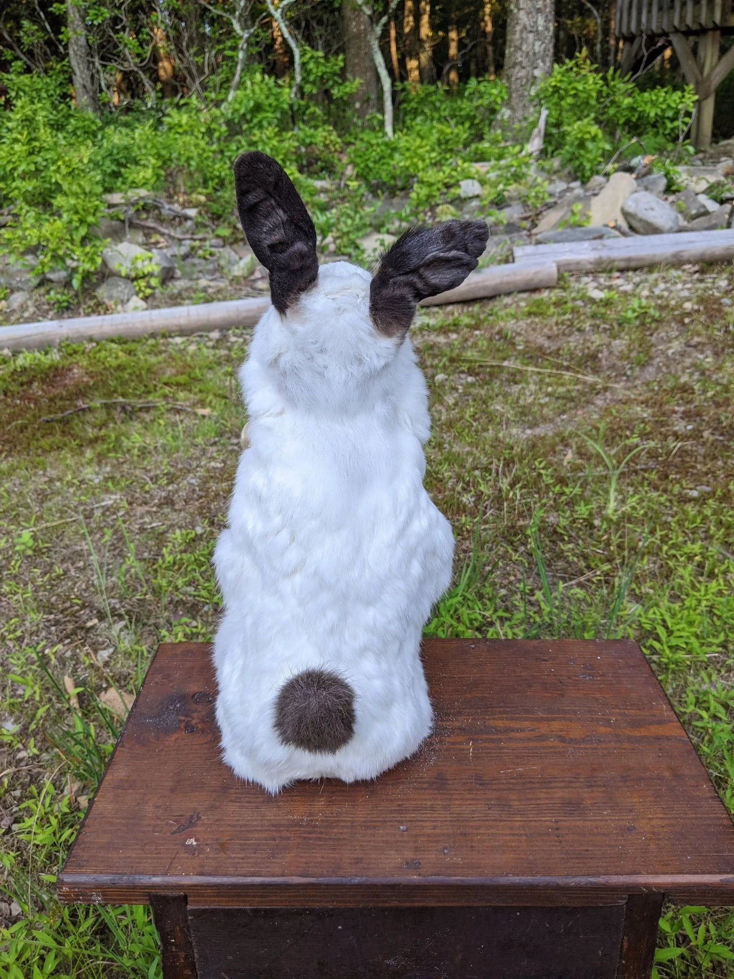Feral Baby Doll Lillian , Real Bunny Rogue Taxidermy Mixed Media Vintage Porcelain Doll - Uniquely Morbid