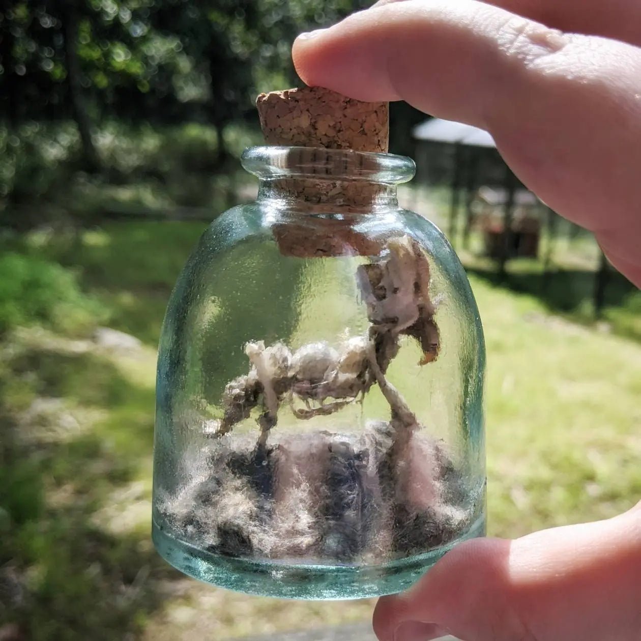 Miniature Rhinoceros Skeleton Glass Cork Vial - Uniquely Morbid