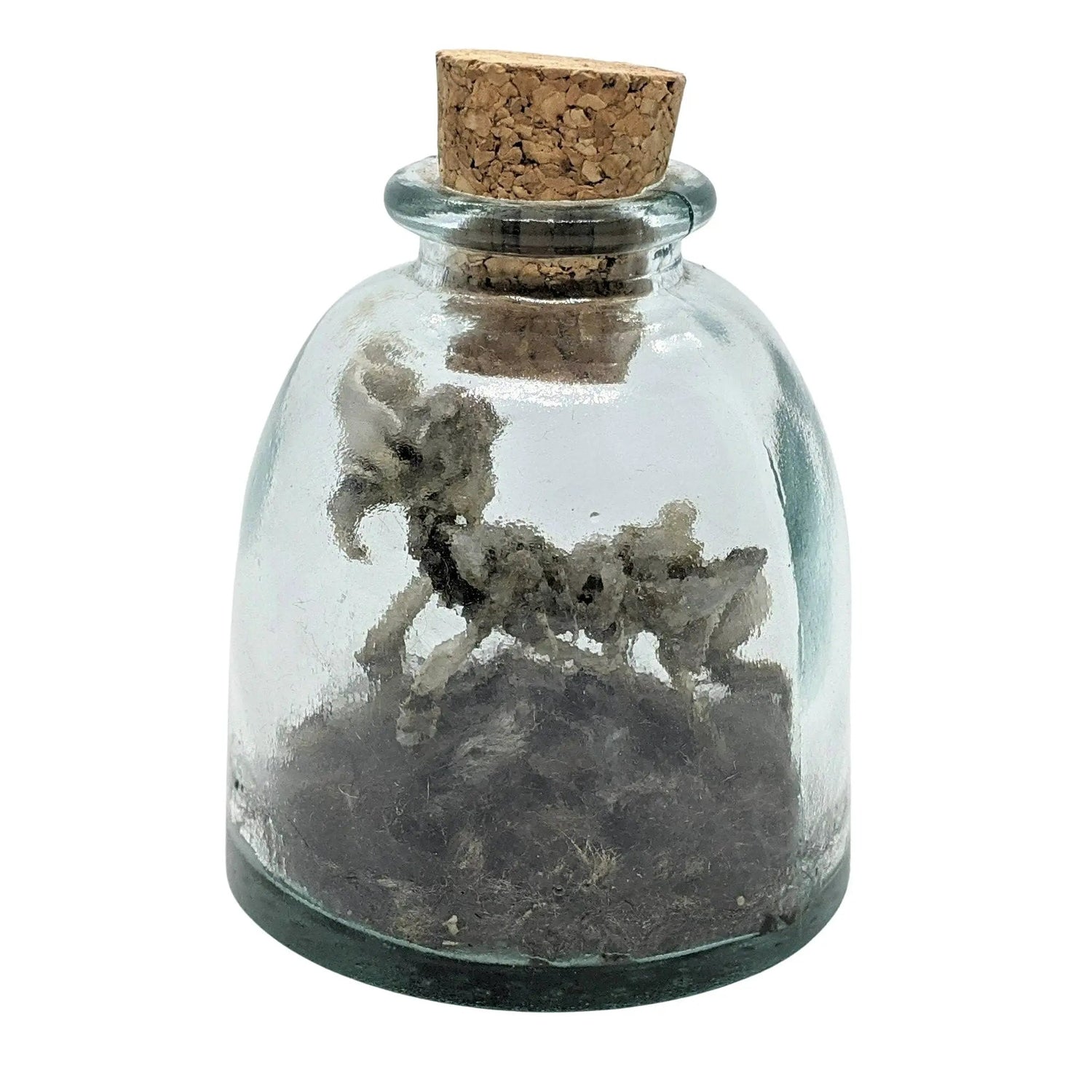 Miniature Rhinoceros Skeleton Glass Cork Vial - Uniquely Morbid