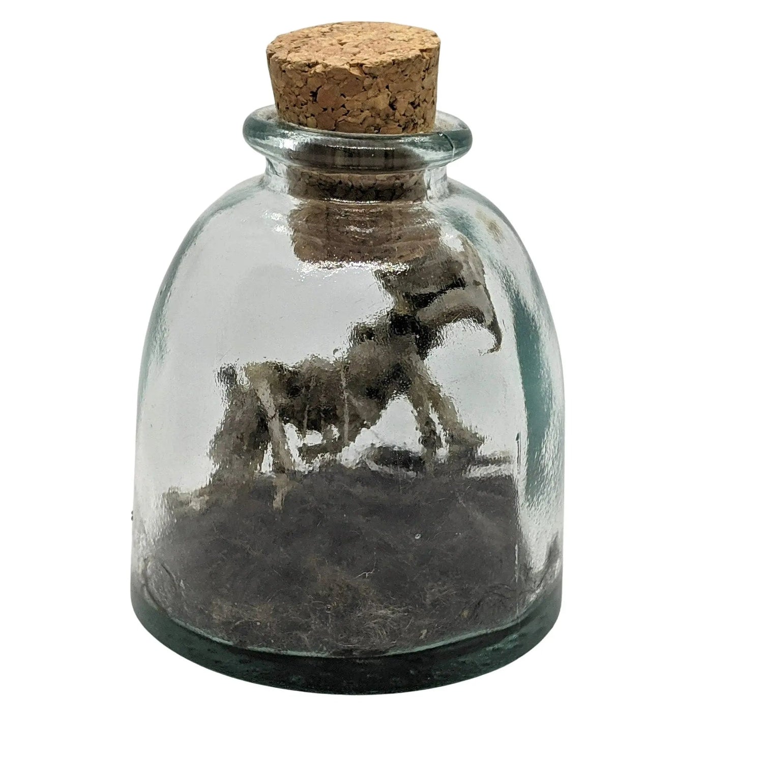 Miniature Rhinoceros Skeleton Glass Cork Vial - Uniquely Morbid