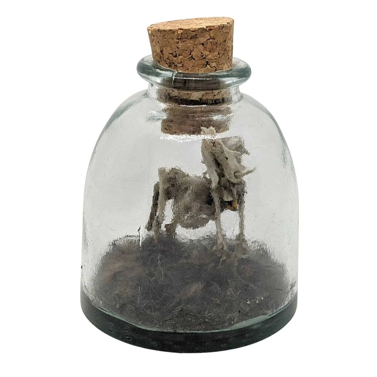 Miniature Rhinoceros Skeleton Glass Cork Vial - Uniquely Morbid