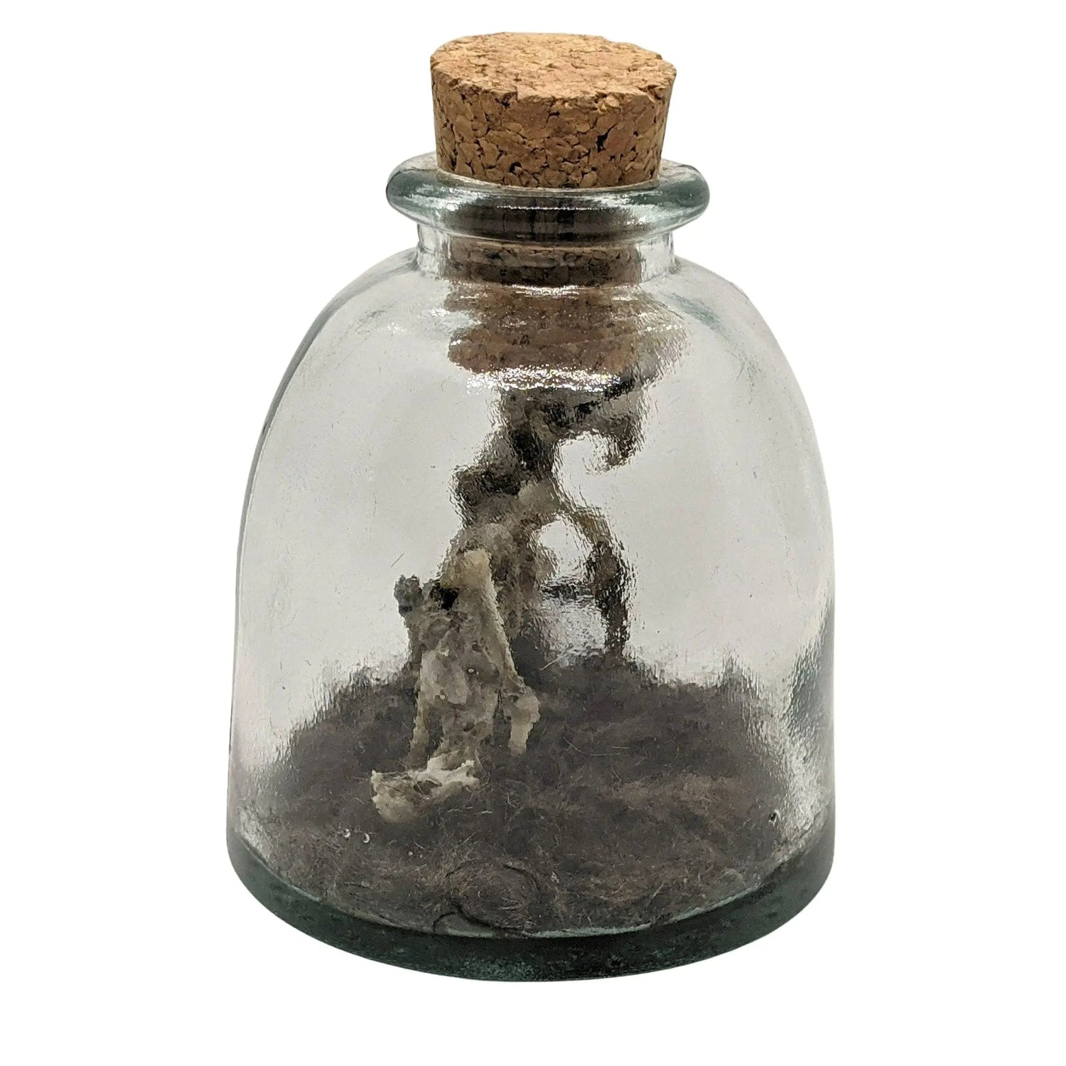 Miniature Rhinoceros Skeleton Glass Cork Vial - Uniquely Morbid