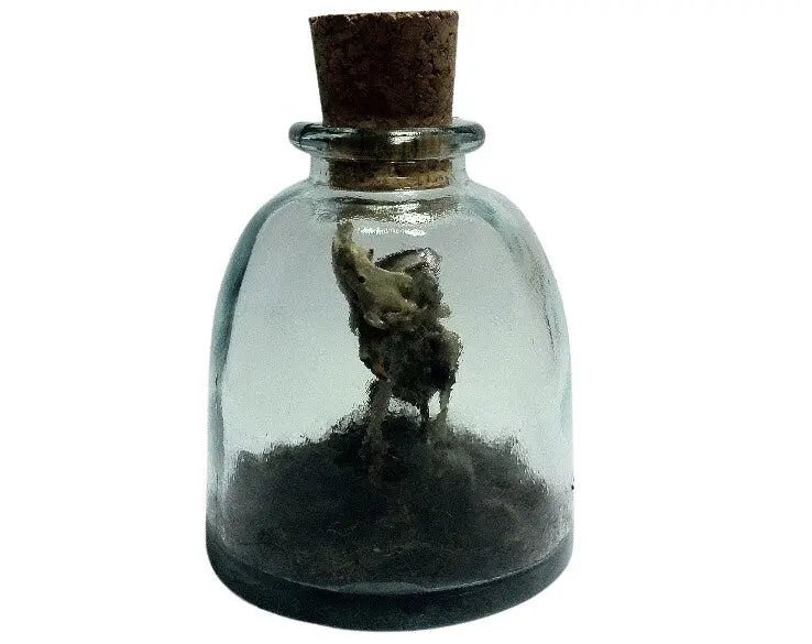 Miniature Rhinoceros Skeleton Glass Cork Vial - Uniquely Morbid