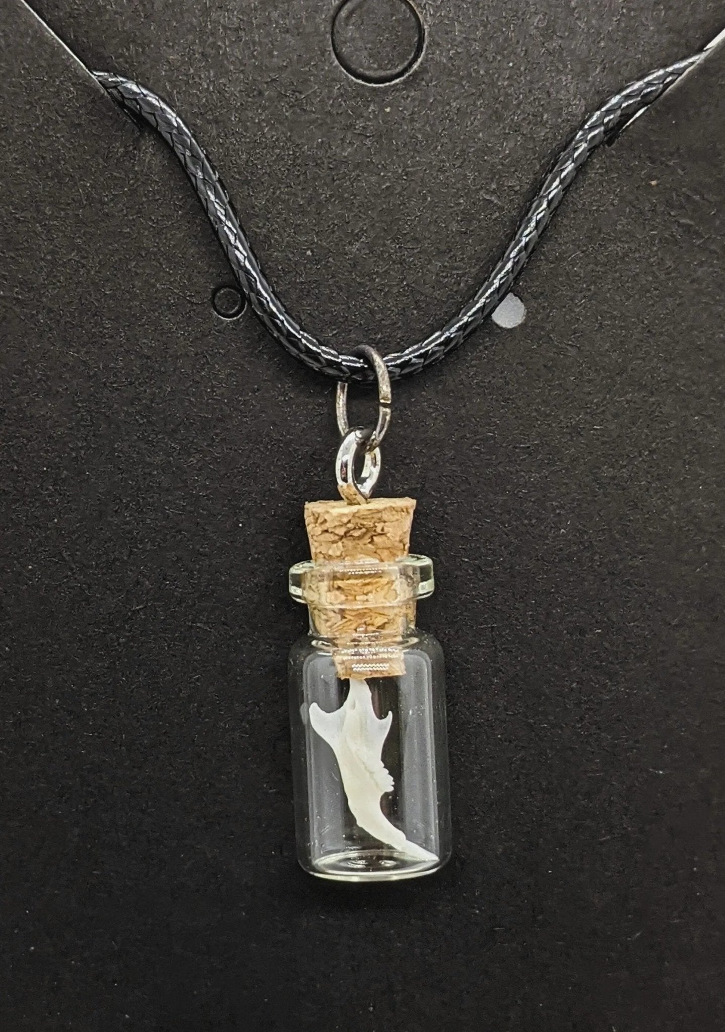 Mouse Jaw In A Bottle Pendant - Uniquely Morbid