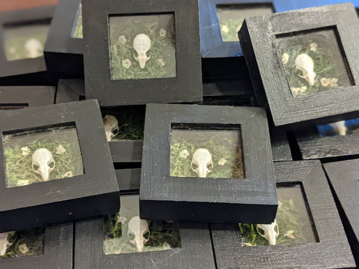 Mouse Skull Trinket Box - Uniquely Morbid®