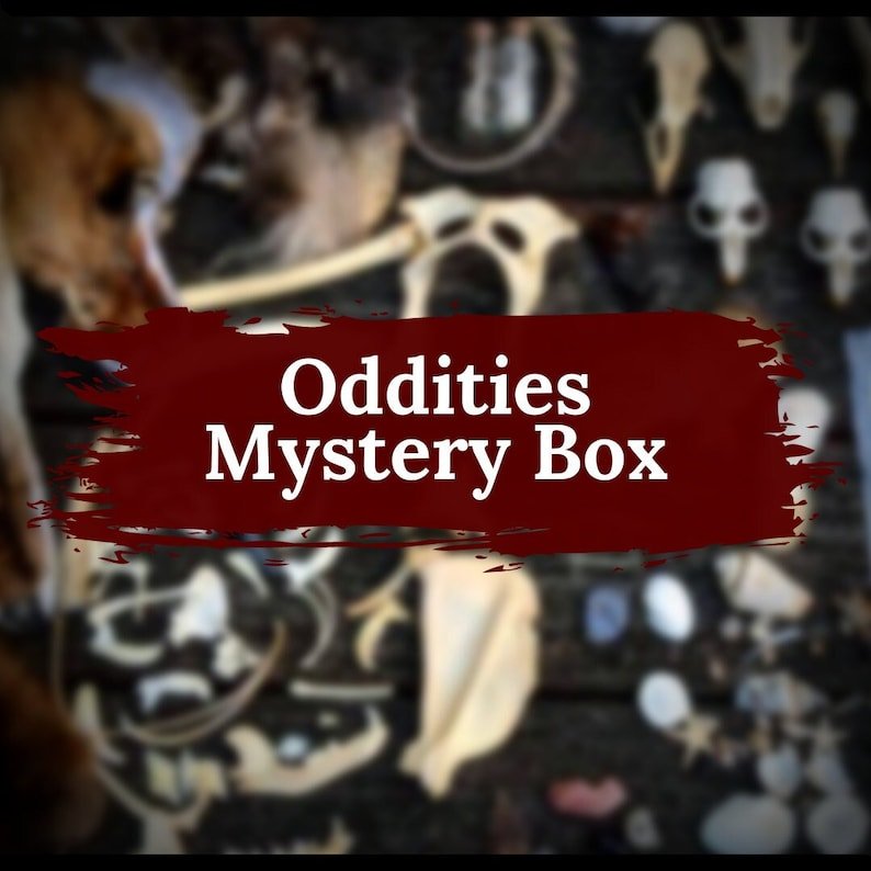 Natural History Oddities Mystery Box - Uniquely Morbid