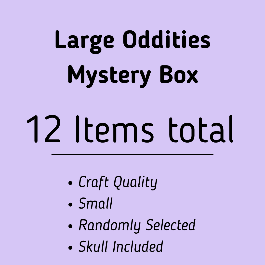 Natural History Oddities Mystery Box - Uniquely Morbid®