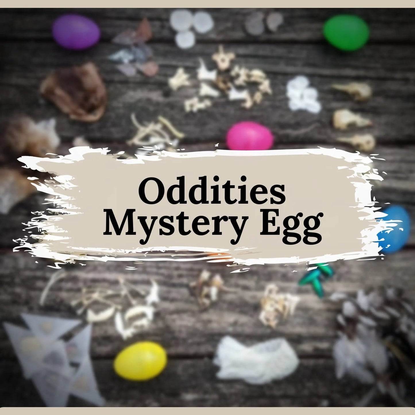 Oddities Mystery Easter Egg - Uniquely Morbid