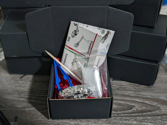 Owl Pellet Dissection Kit - Uniquely Morbid®