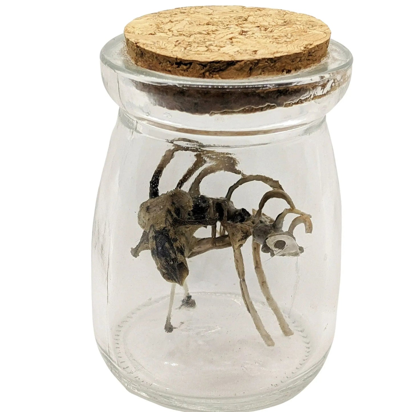 Scary Weird Wingless Dragon Creature Fantasy Bone Sculpture Art - Uniquely Morbid