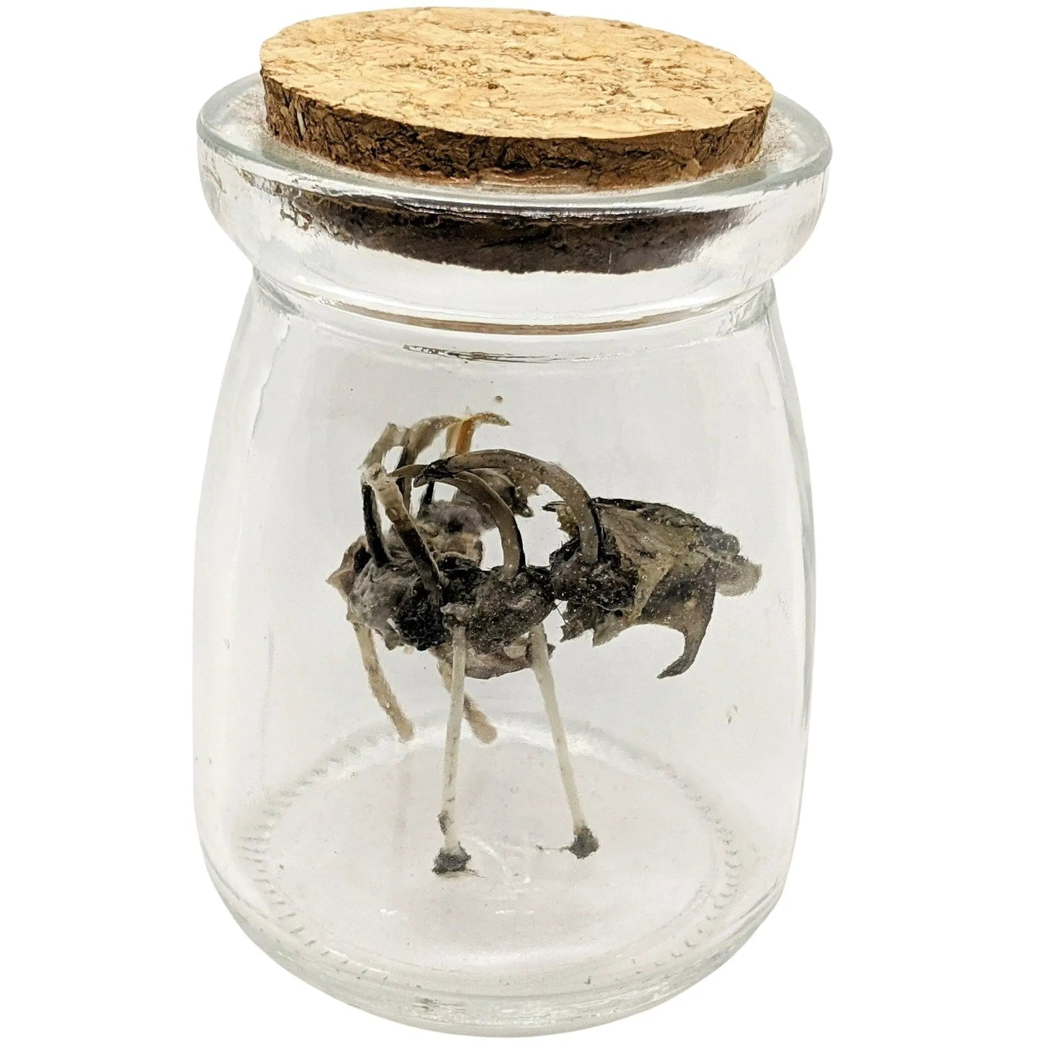 Scary Weird Wingless Dragon Creature Fantasy Bone Sculpture Art - Uniquely Morbid