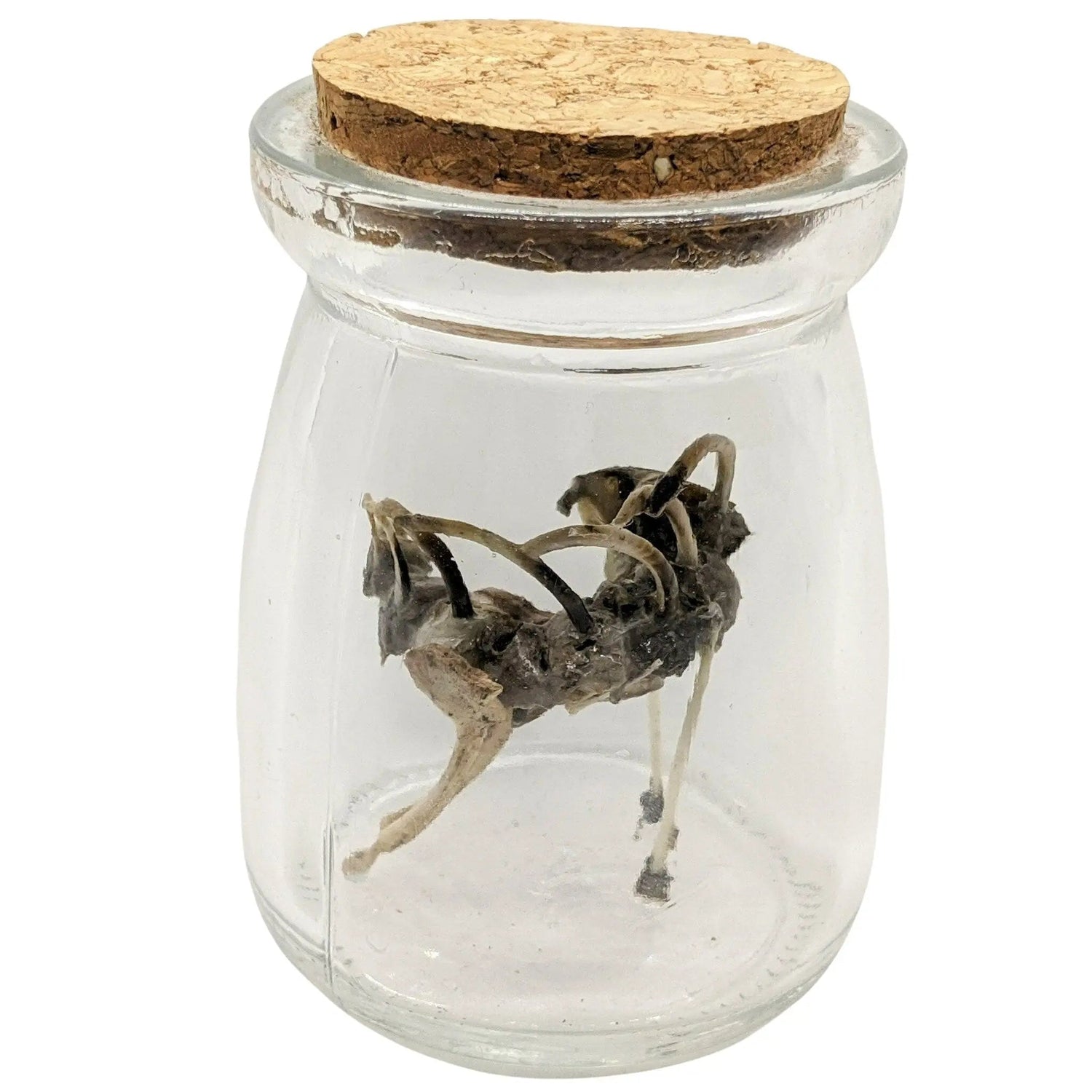 Scary Weird Wingless Dragon Creature Fantasy Bone Sculpture Art - Uniquely Morbid