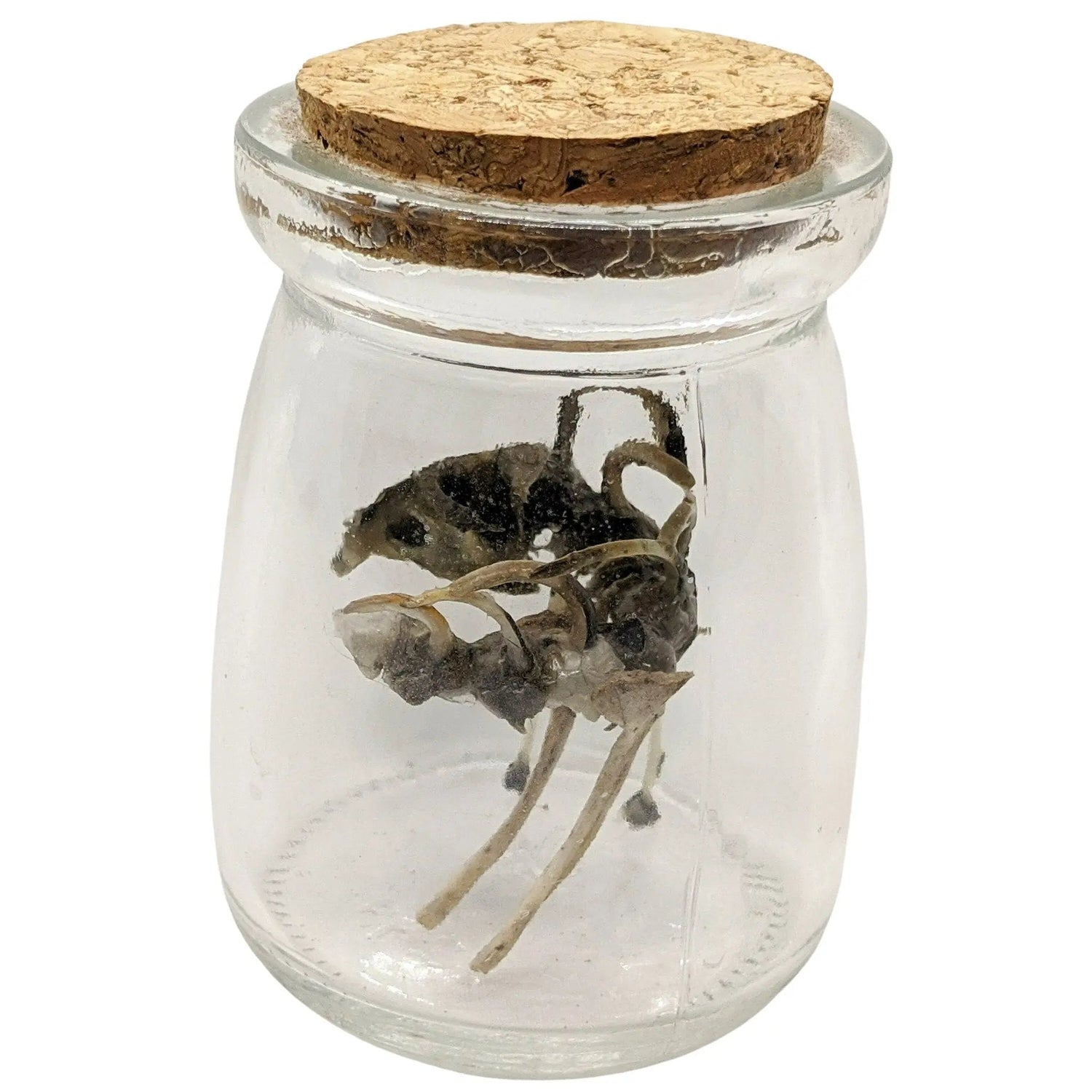 Scary Weird Wingless Dragon Creature Fantasy Bone Sculpture Art - Uniquely Morbid