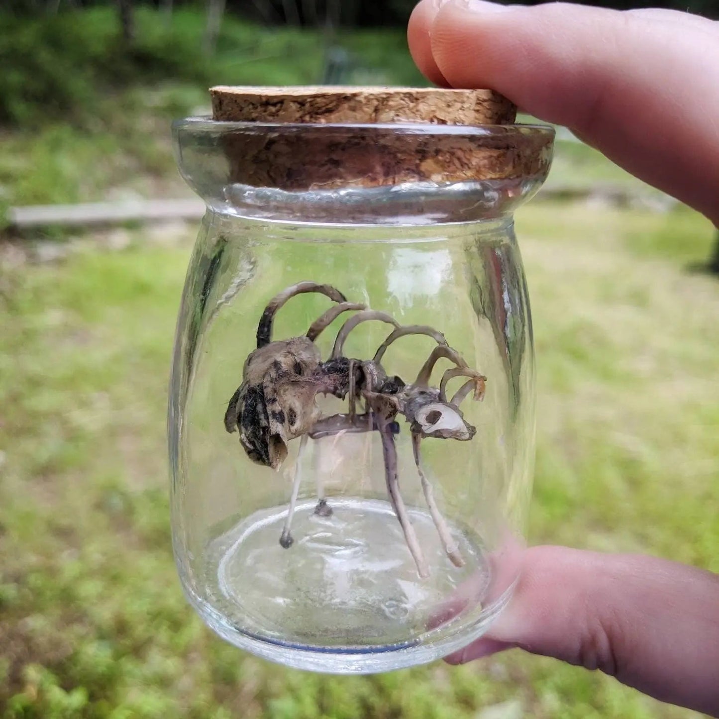 Scary Weird Wingless Dragon Creature Fantasy Bone Sculpture Art - Uniquely Morbid