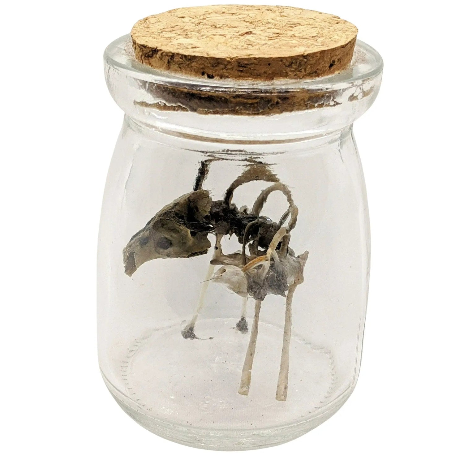 Scary Weird Wingless Dragon Creature Fantasy Bone Sculpture Art - Uniquely Morbid