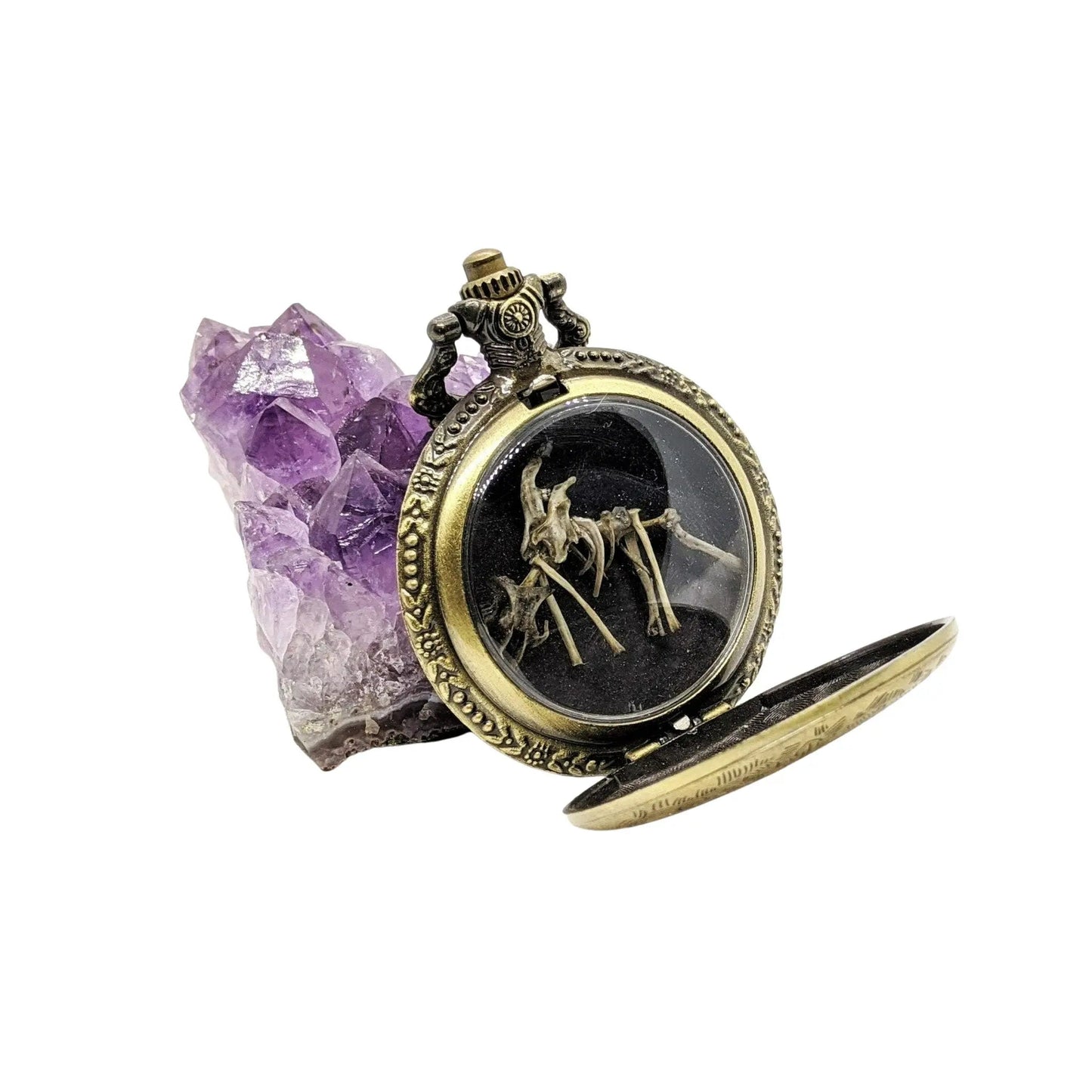 Tiny Dragon Skeleton in Pocket Watch Case - Uniquely Morbid