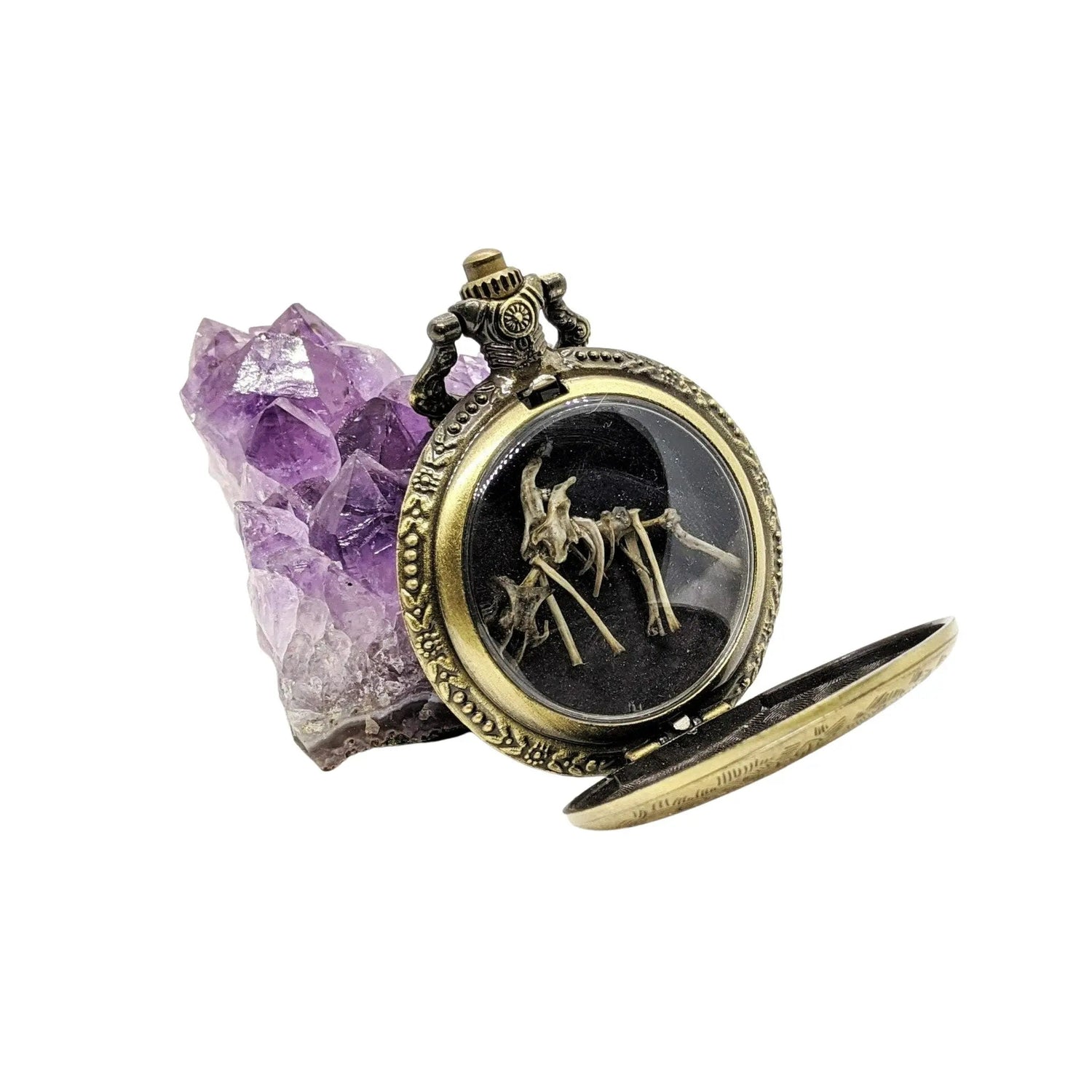 Tiny Dragon Skeleton in Pocket Watch Case - Uniquely Morbid