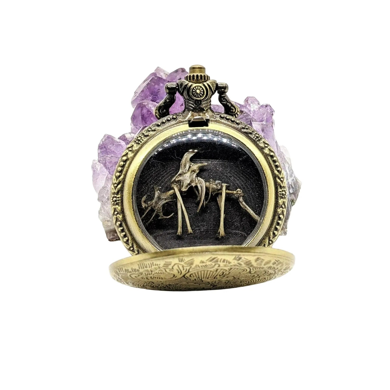 Tiny Dragon Skeleton in Pocket Watch Case - Uniquely Morbid