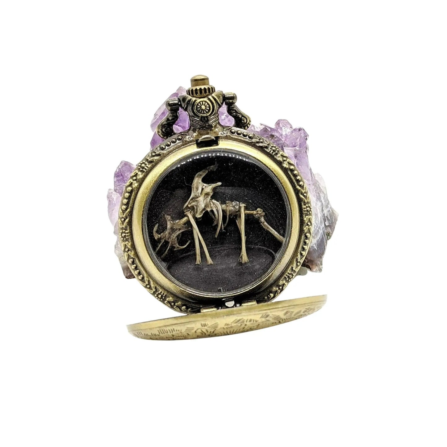 Tiny Dragon Skeleton in Pocket Watch Case - Uniquely Morbid