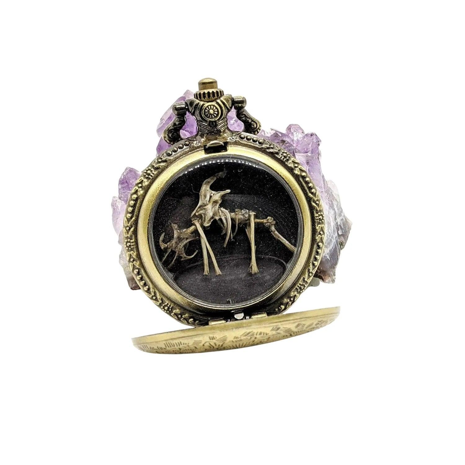 Tiny Dragon Skeleton in Pocket Watch Case - Uniquely Morbid